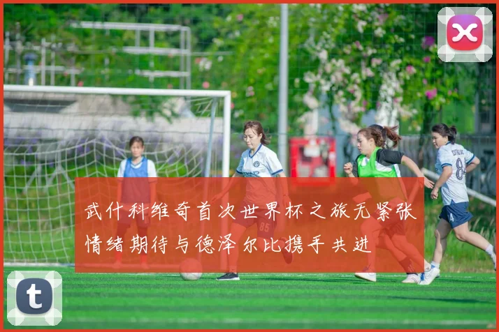 武什科维奇首次世界杯之旅无紧张情绪期待与德泽尔比携手共进